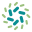 Sinotrans Changhang Group logo