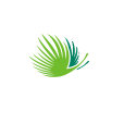 Grupo Puntacana logo