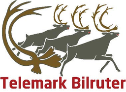 Telemark Bilruter logo